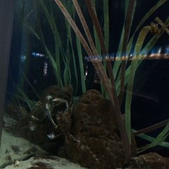 IMG 039